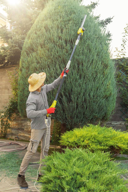 Best Tree and Shrub Care  in Oxford, NC